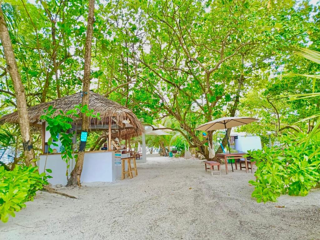YUVi Blue Guesthouse at Himmafushi - 5