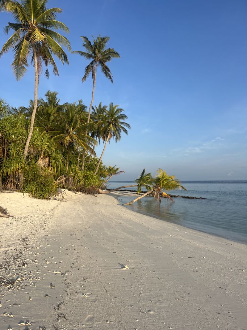 Dhidhdhoo